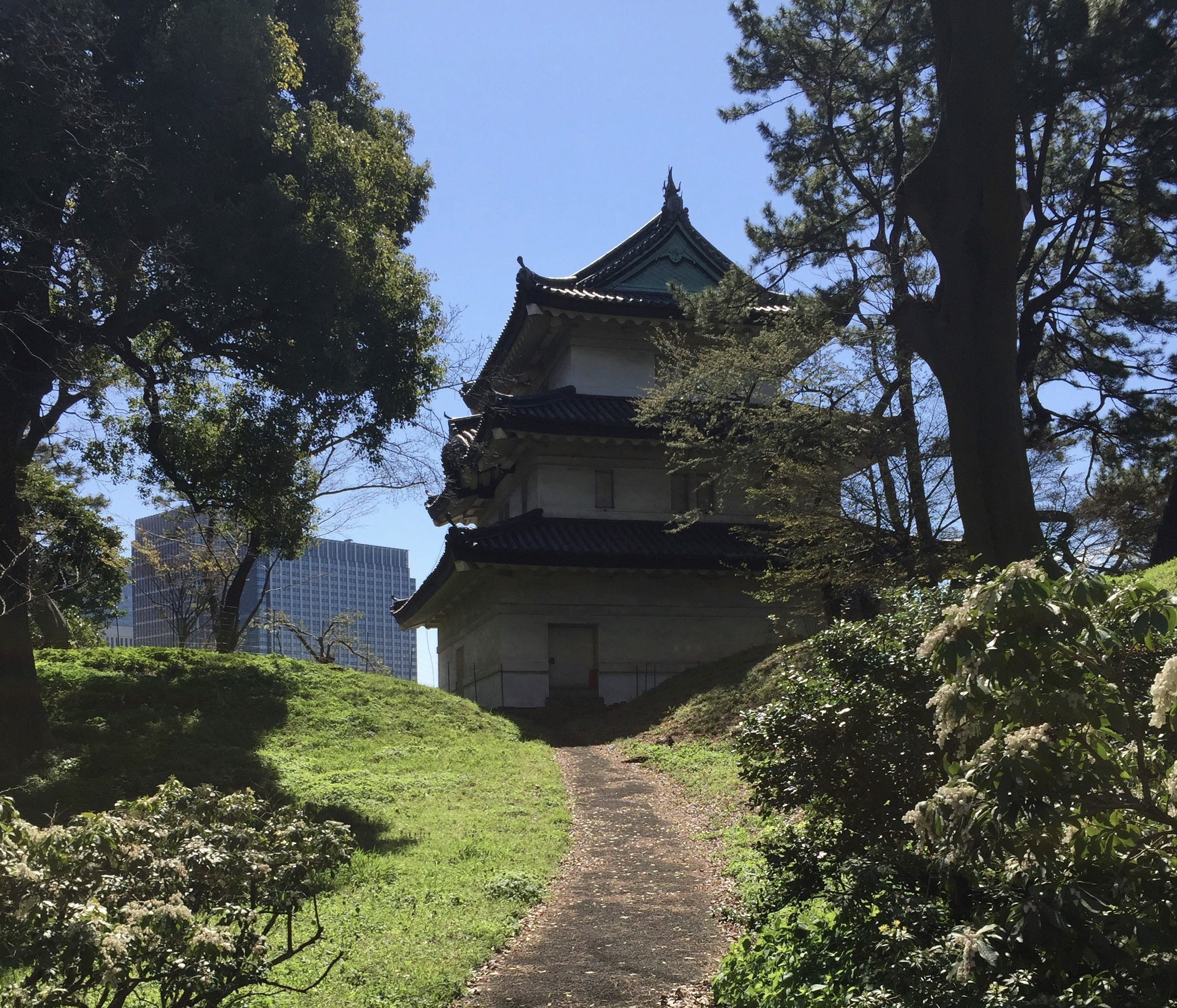 Wandering around the Imperial Palace in Tokyo